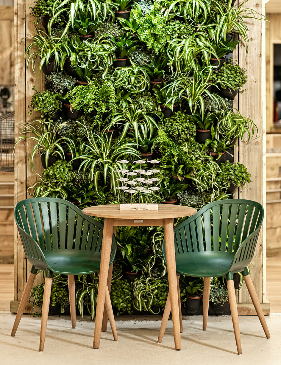 Create A Living Wall - Yarnton Home & Garden