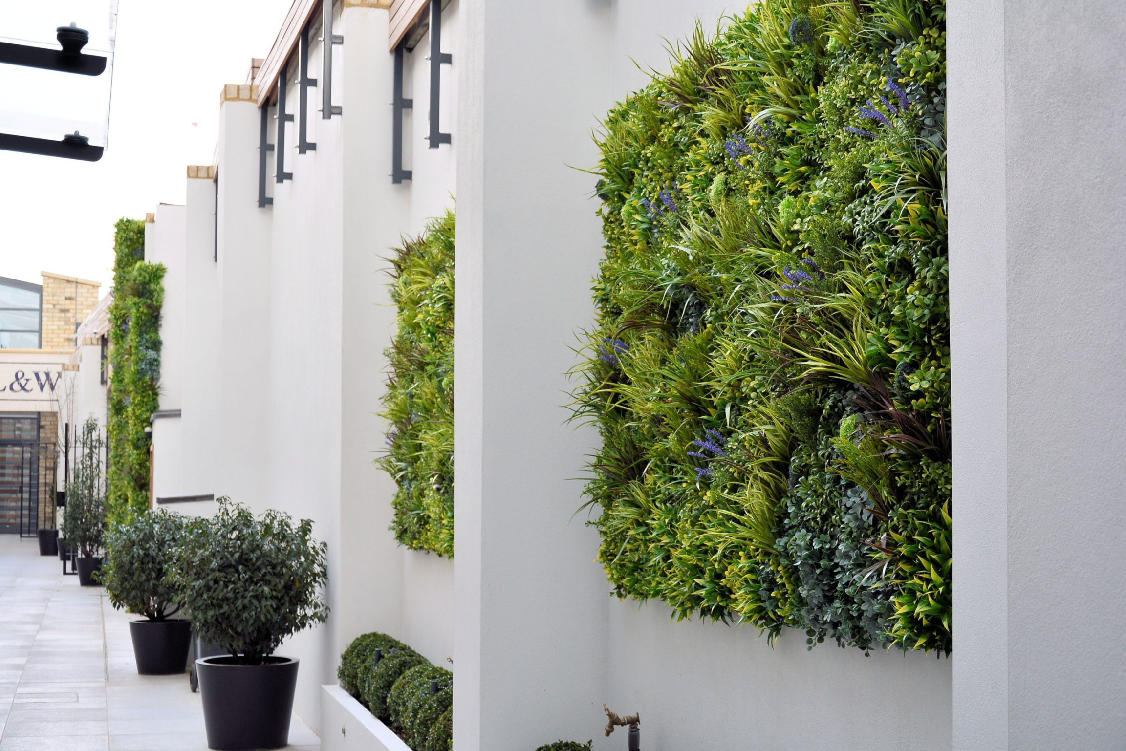 Flexible Artificial Green Wall Panels   Years Warranty