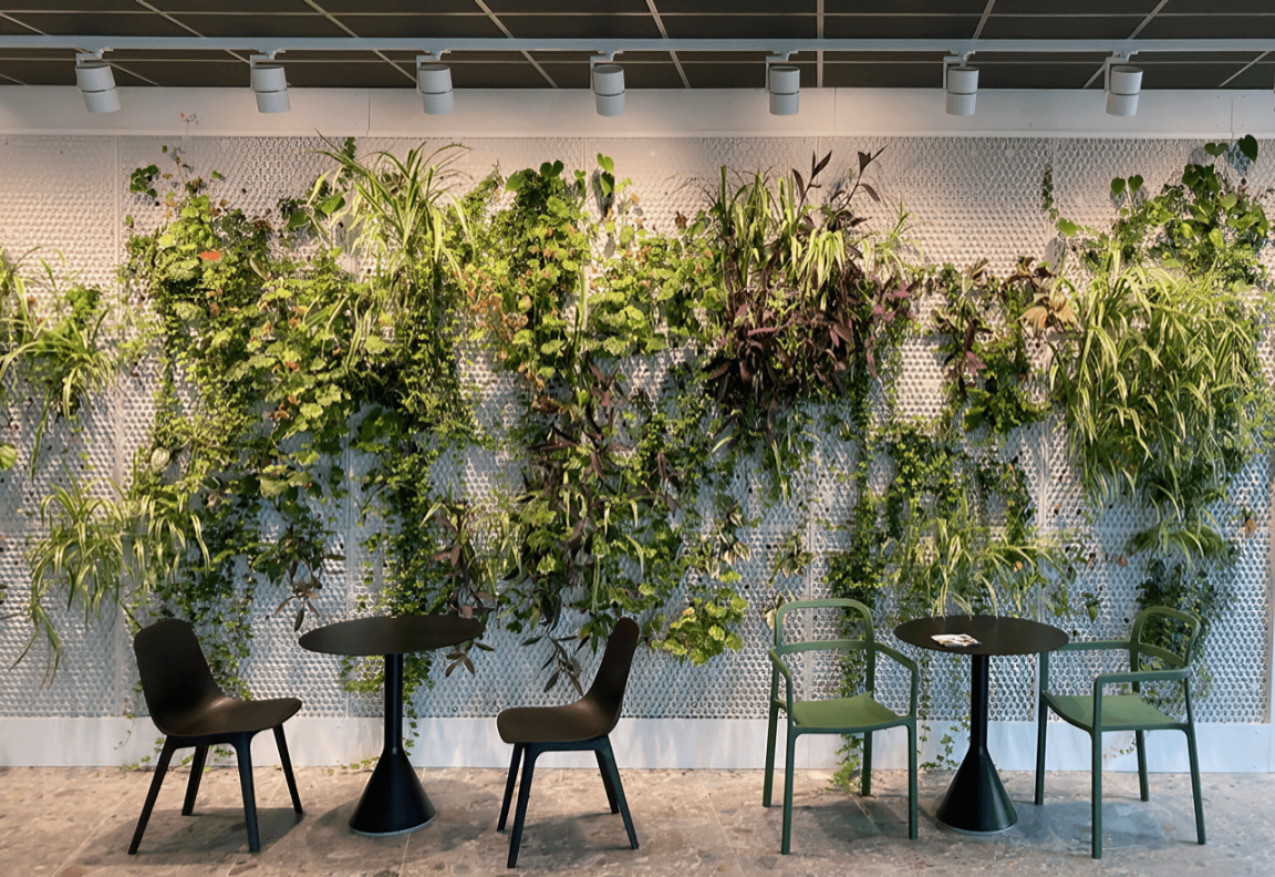 Green Walls: a sustainable solution for modern spaces  plantclub