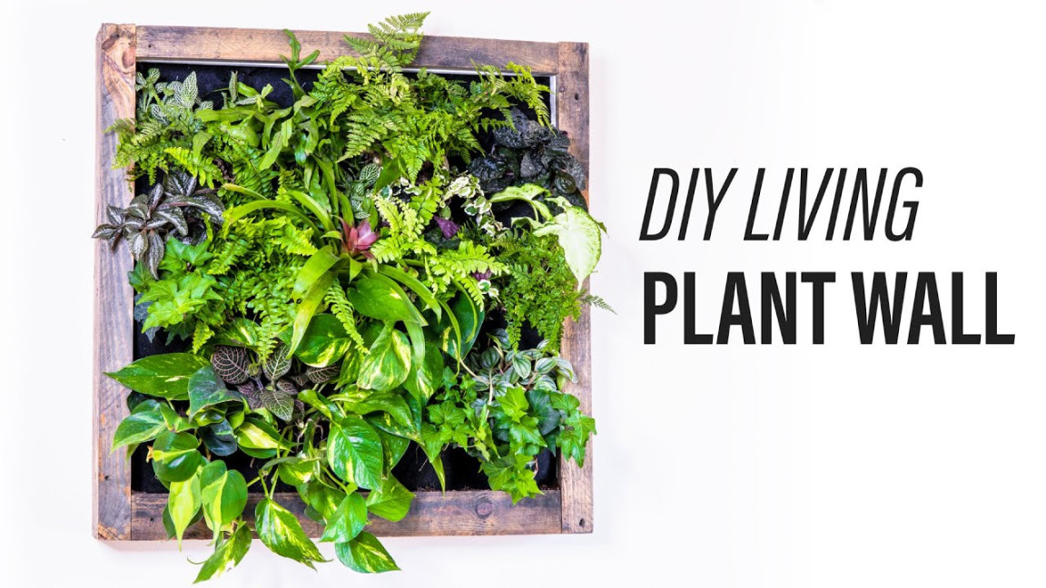 How to Make a Living Plant Wall (DIY)