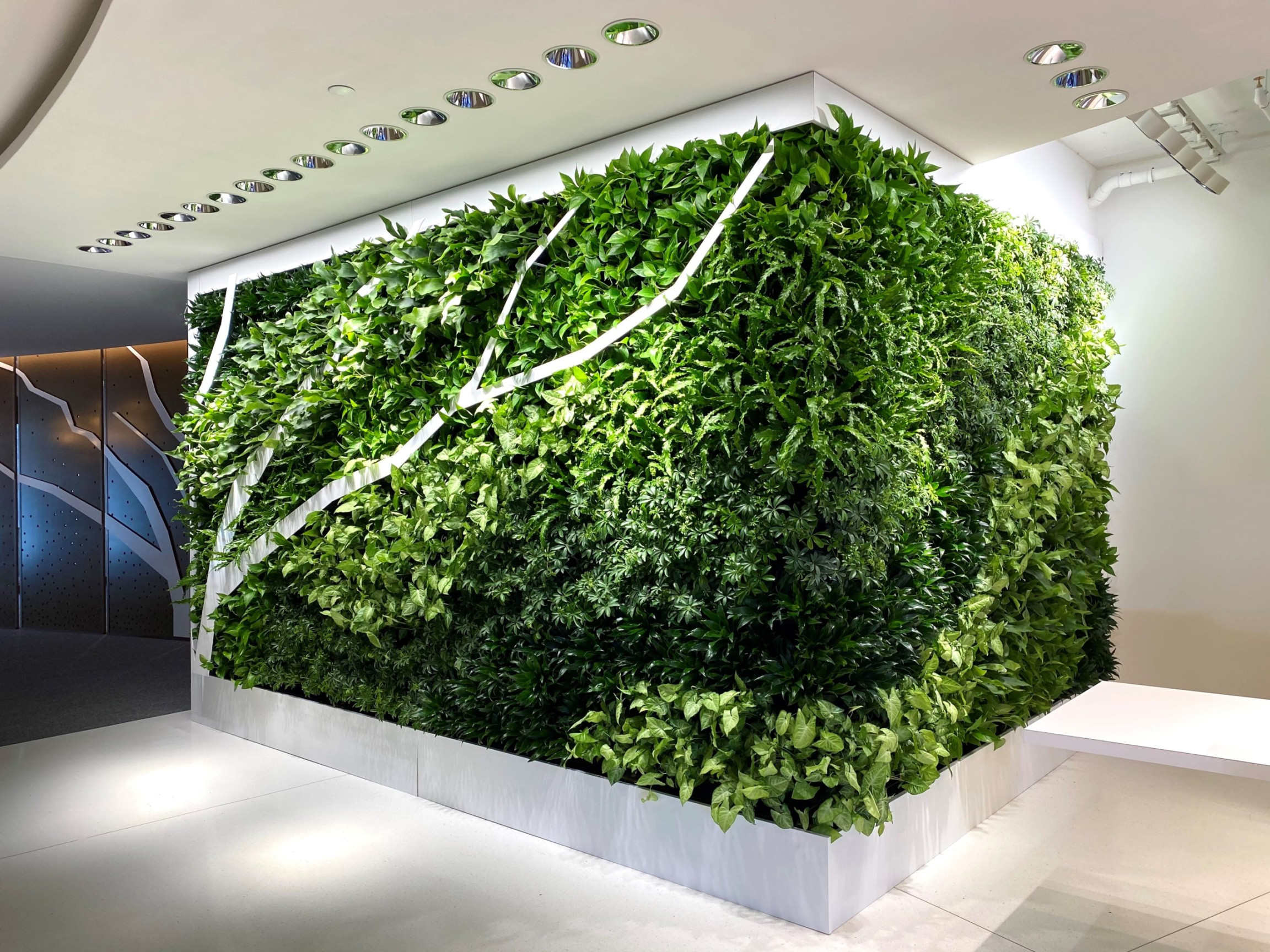 Living Walls  Botanical Designs