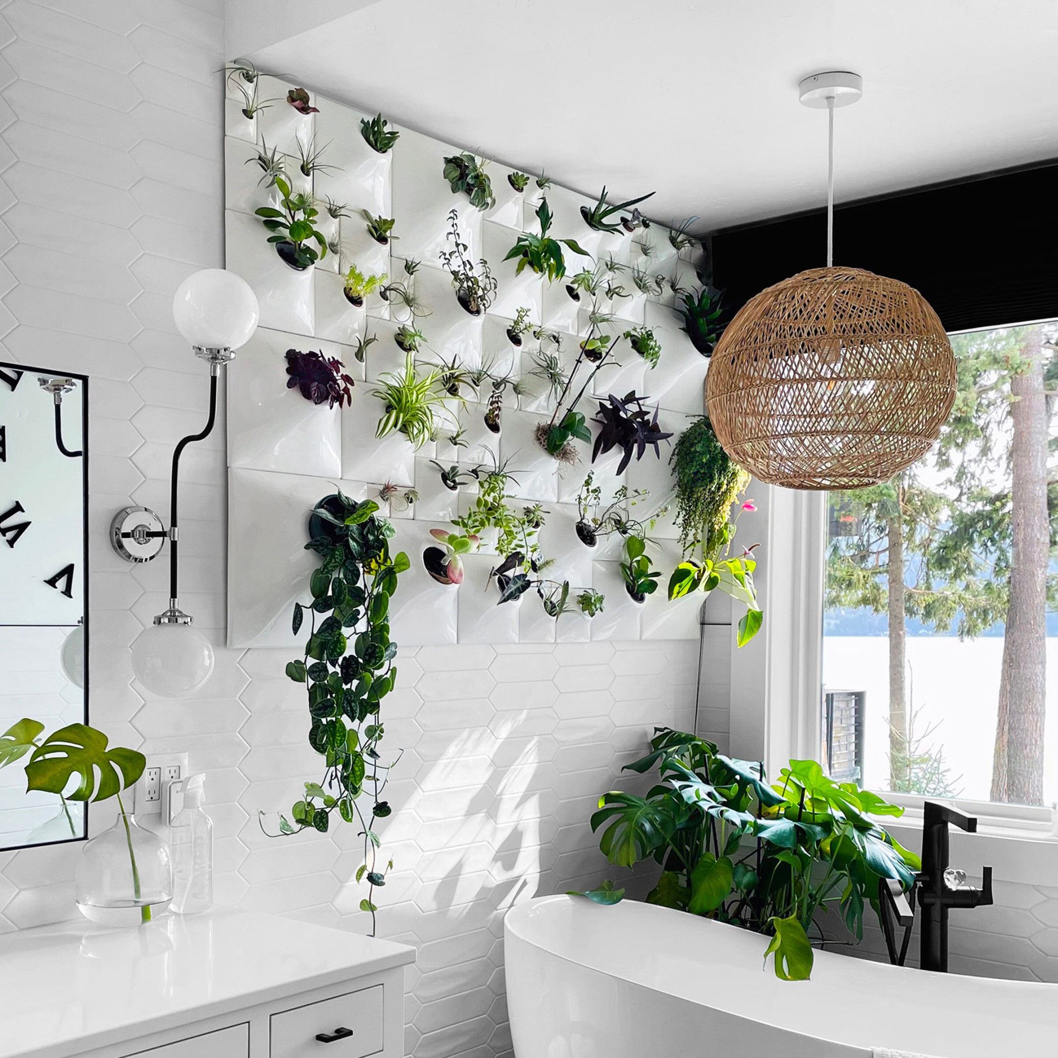 Node Wall Planter  Idea Gallery