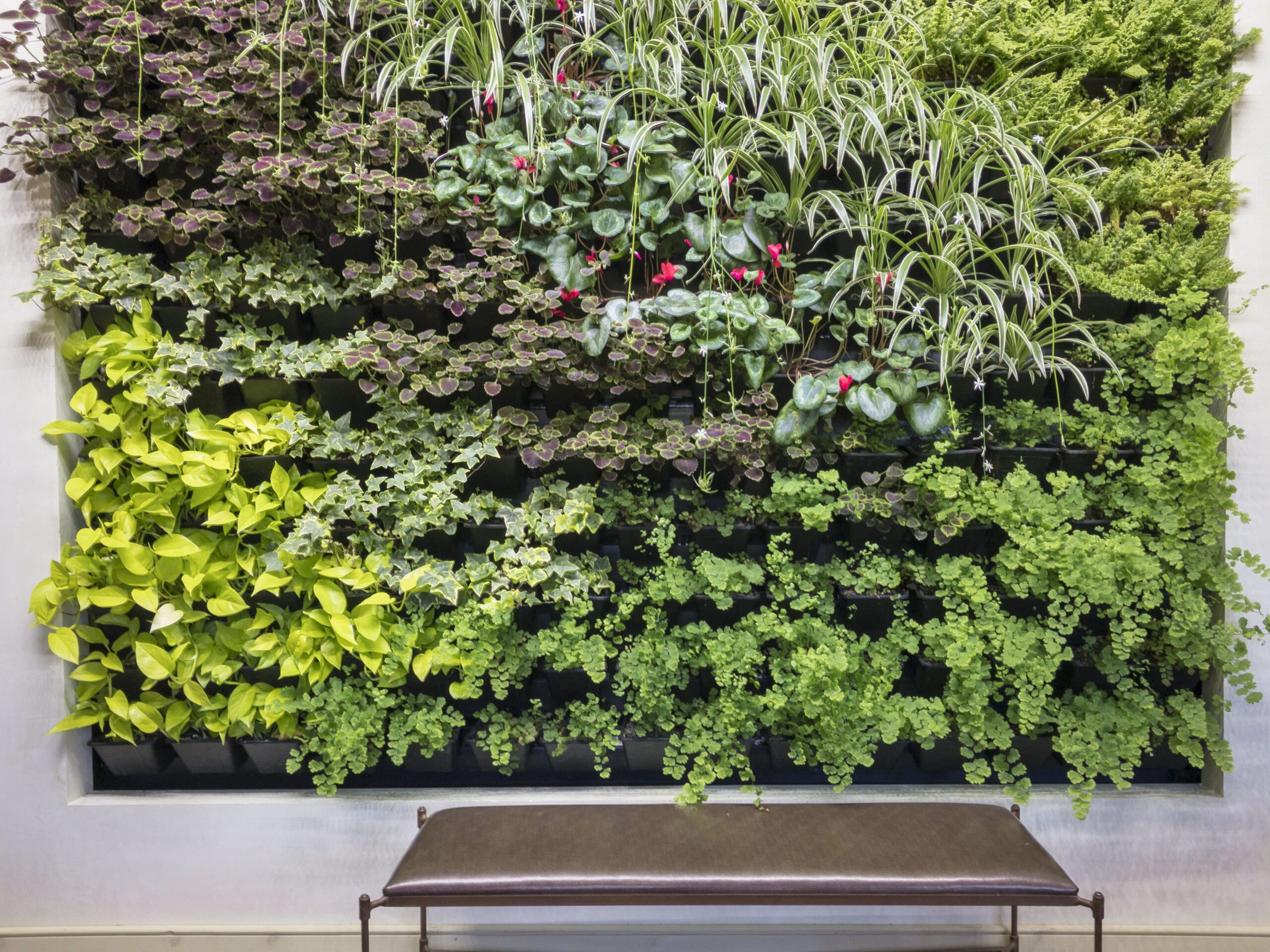 The Living Wall Is the Natural Next Step for Decorating with Plants